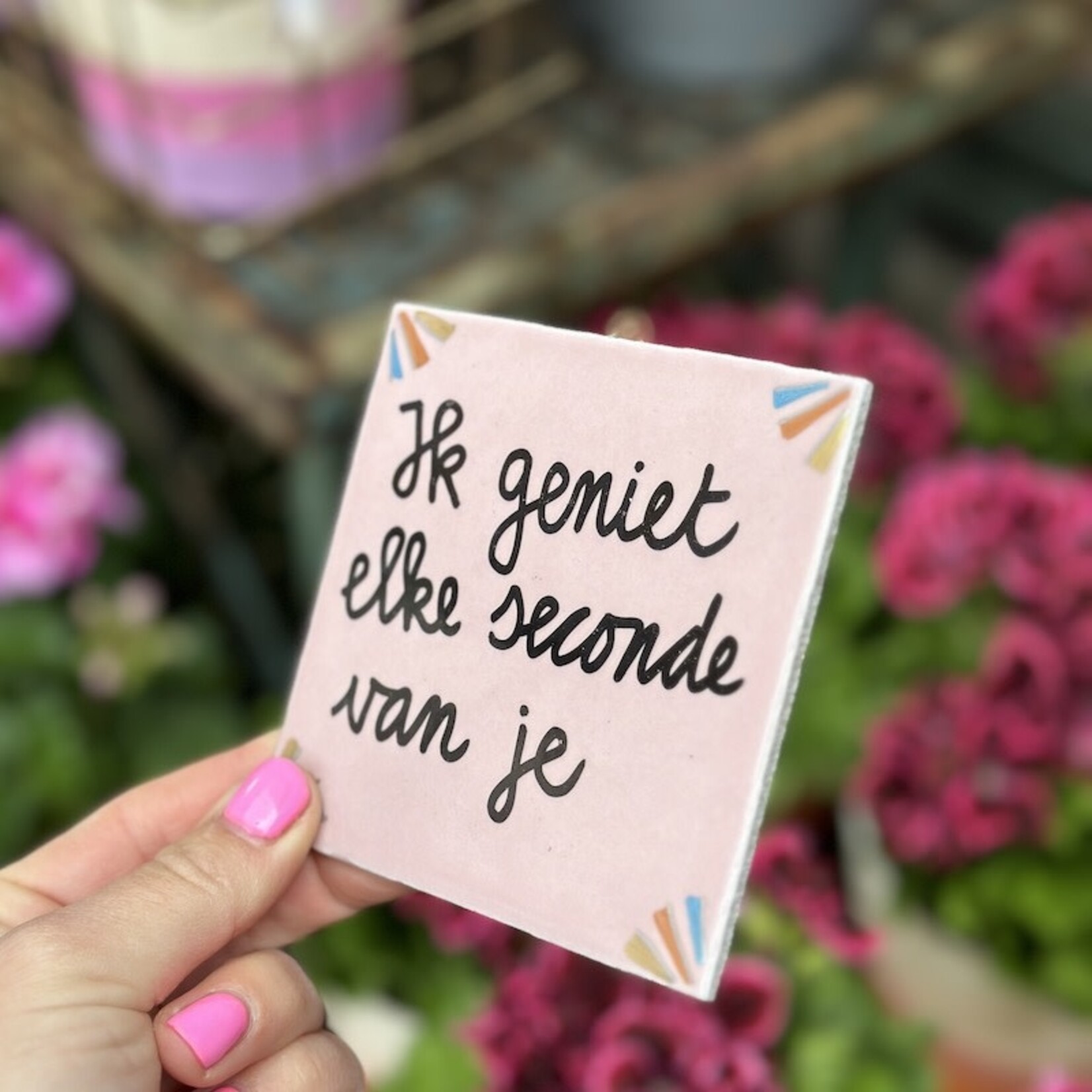 Tegeltje - ik geniet elke seconde van je roze