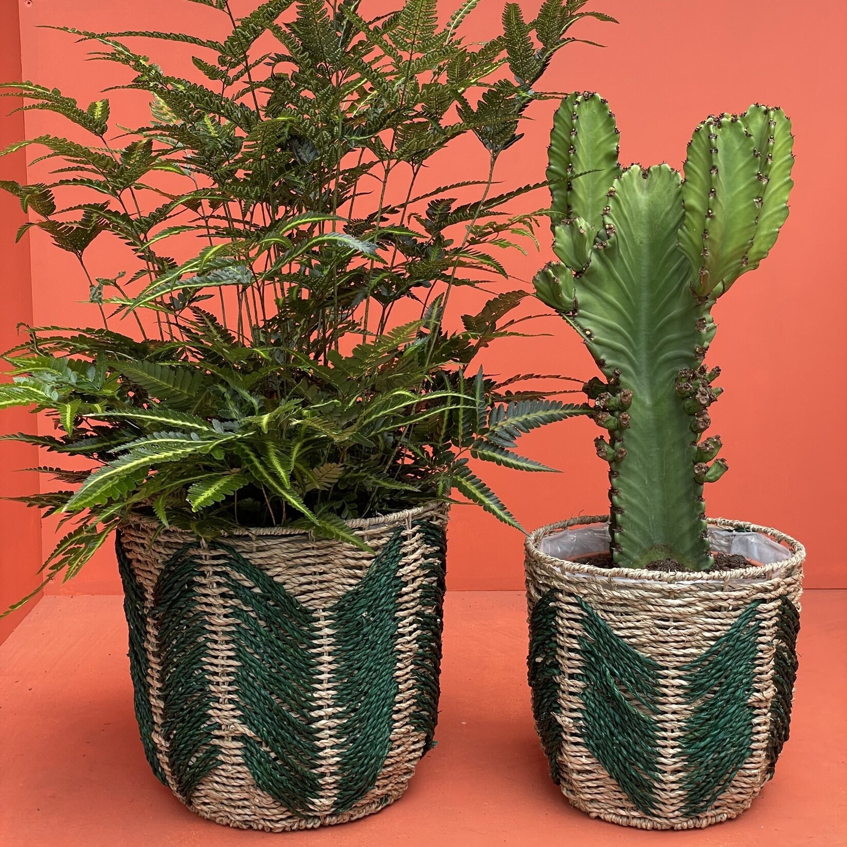 Rotan mand Wavy - groen