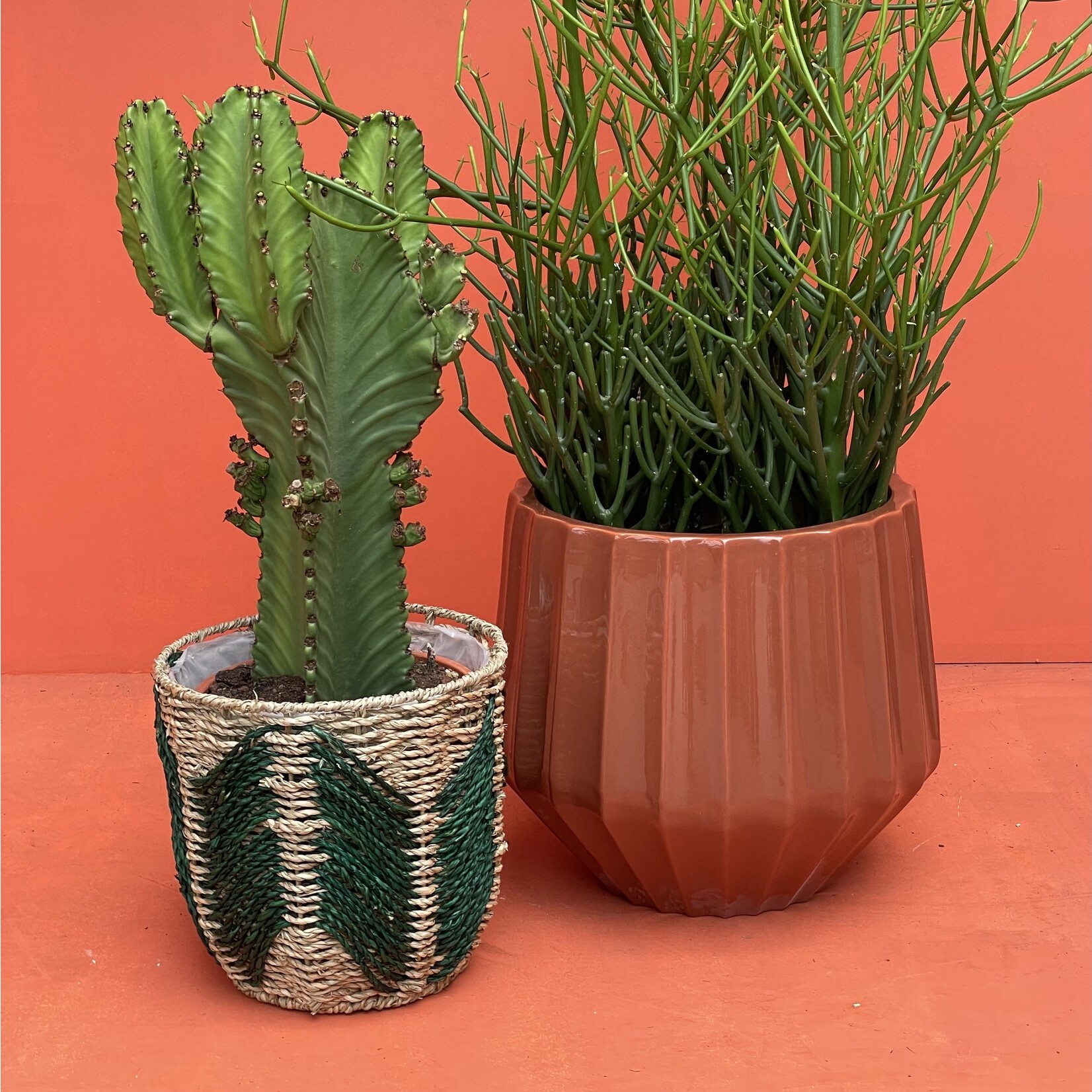 Rotan mand Wavy - groen