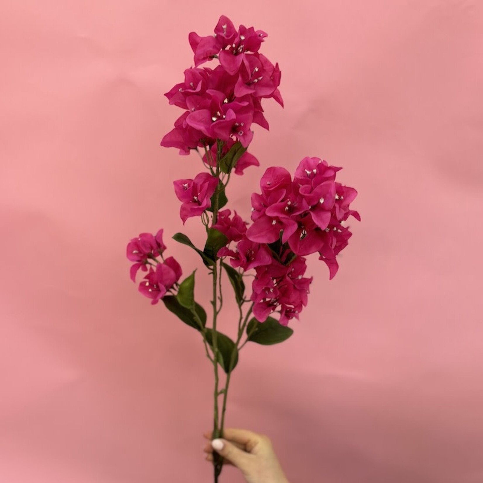 Zijden bloem - Bougainville roze