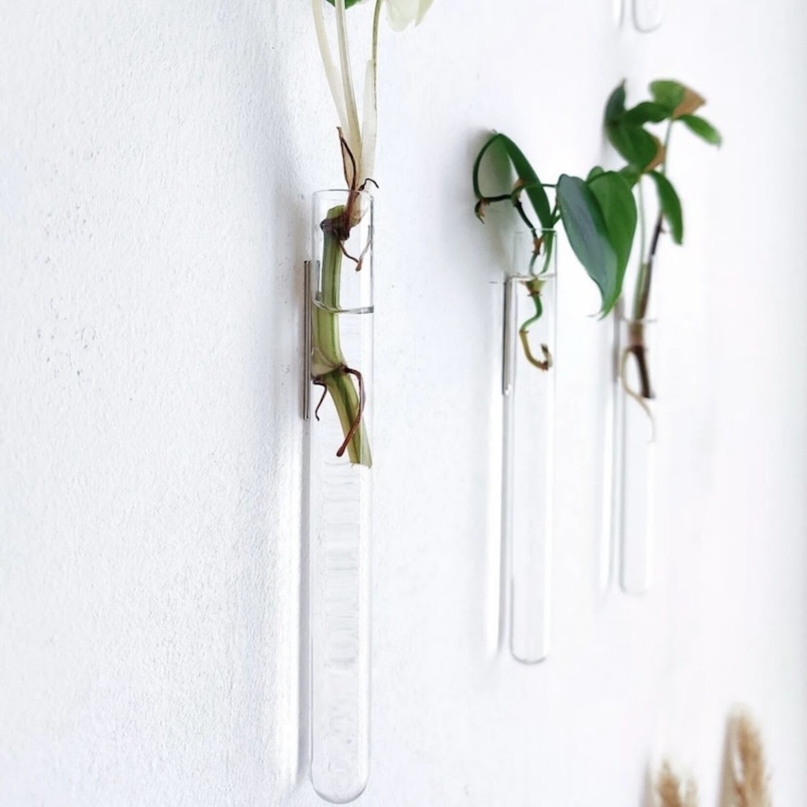 Muurbloempjes 3 planthangers - transparant
