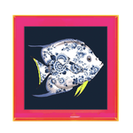 Lijst Funky Fish - blauw/roze