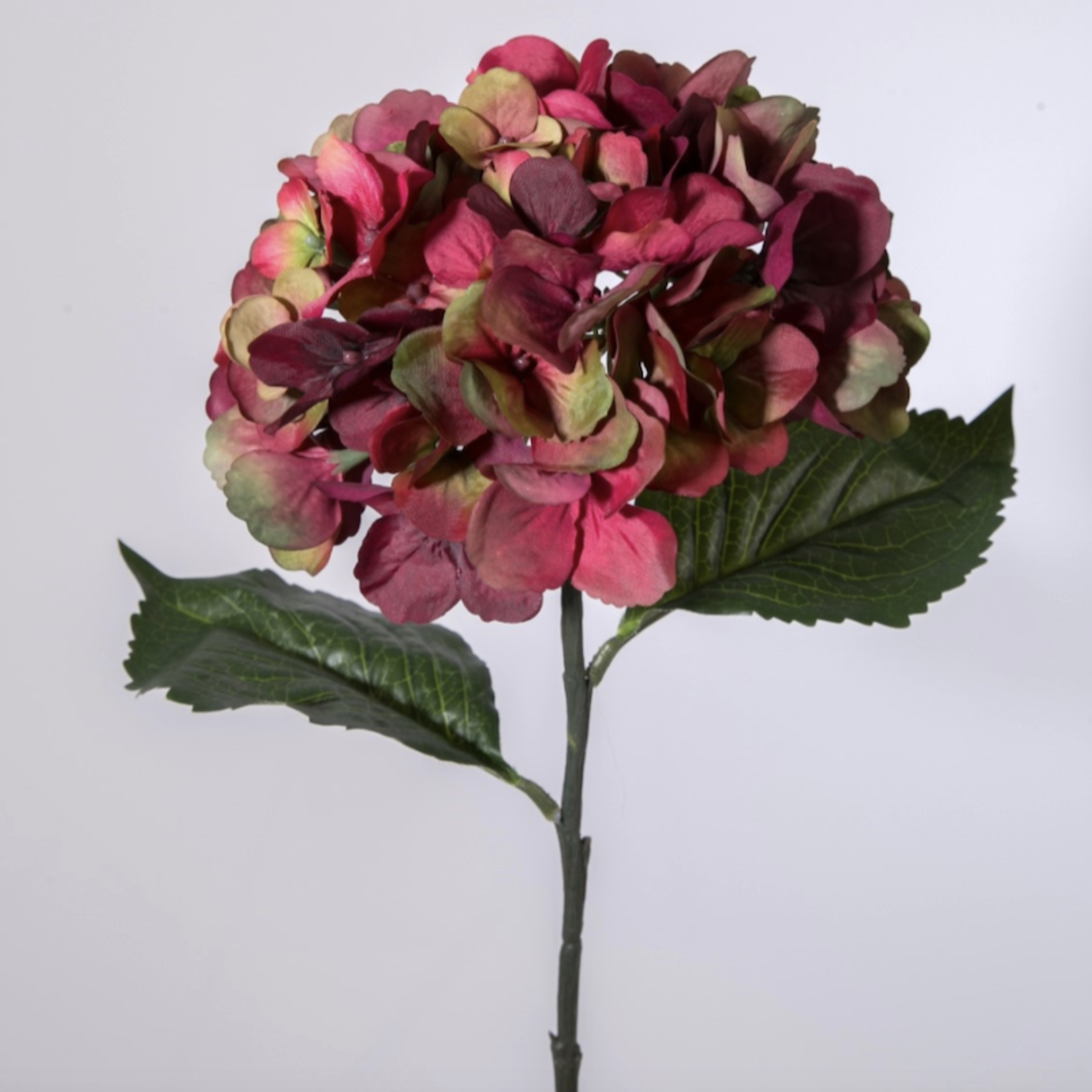 Zijden bloem - Hydrangea bordeaux