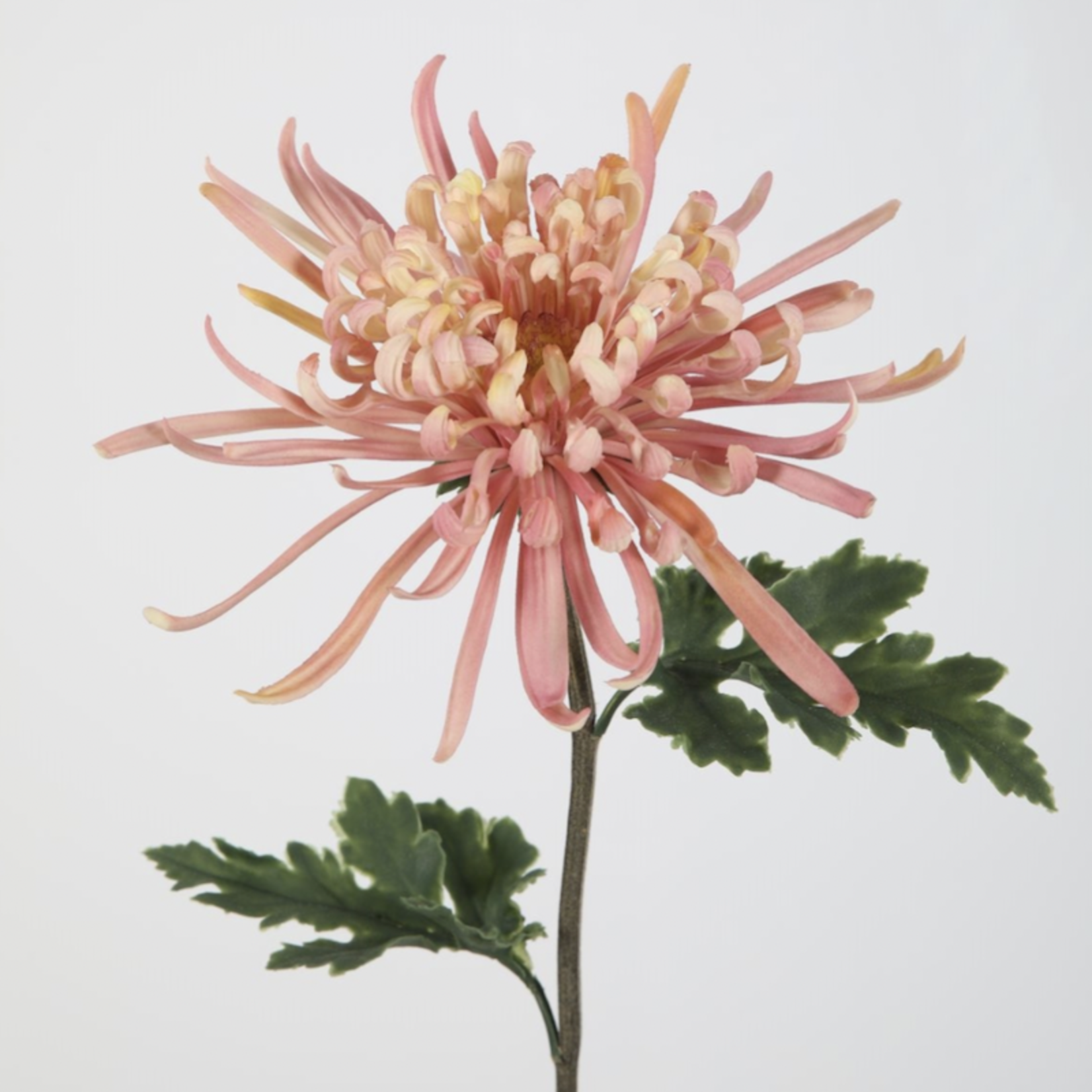 Zijden bloem - Chrysanthemum roze