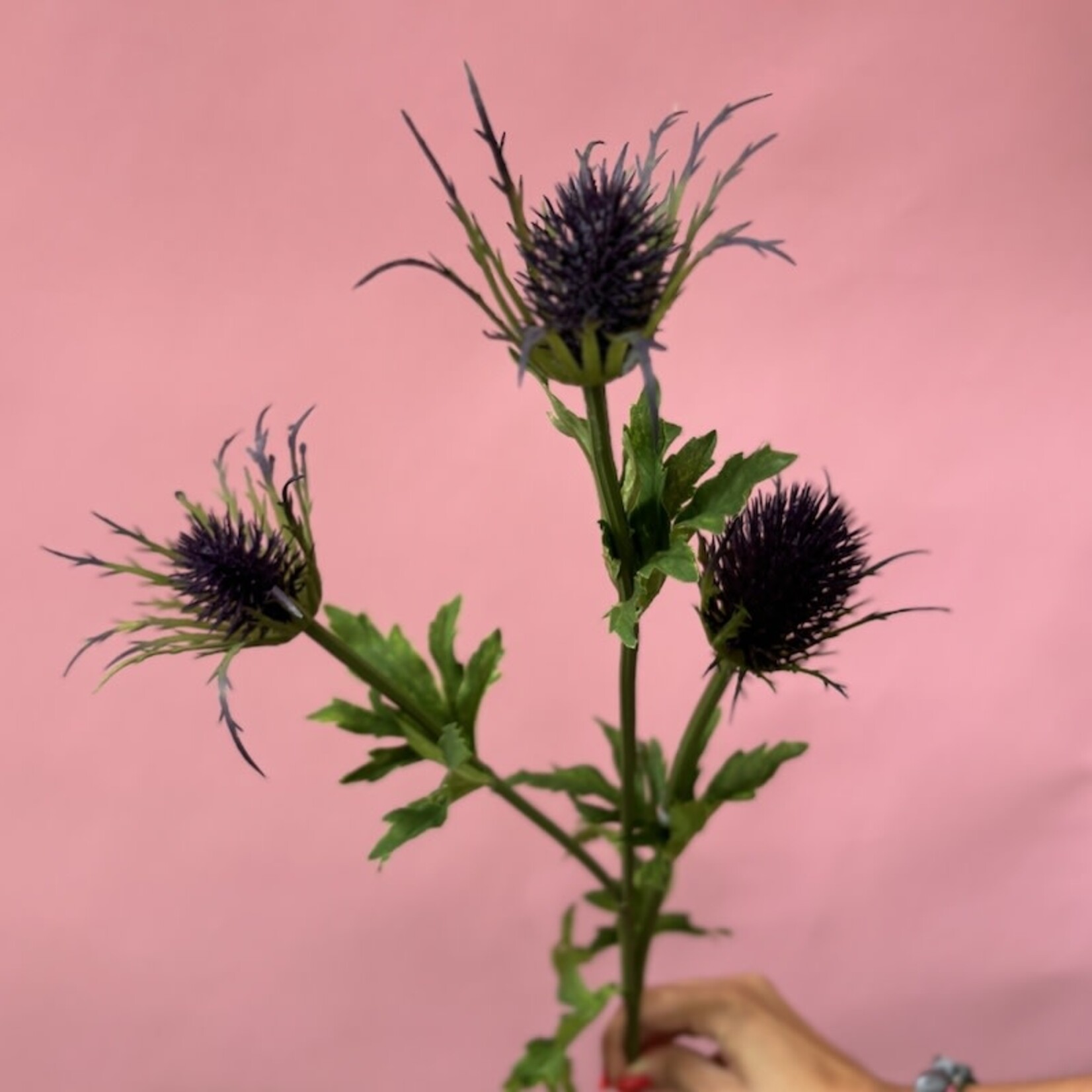 Zijden bloem - Thistle spray