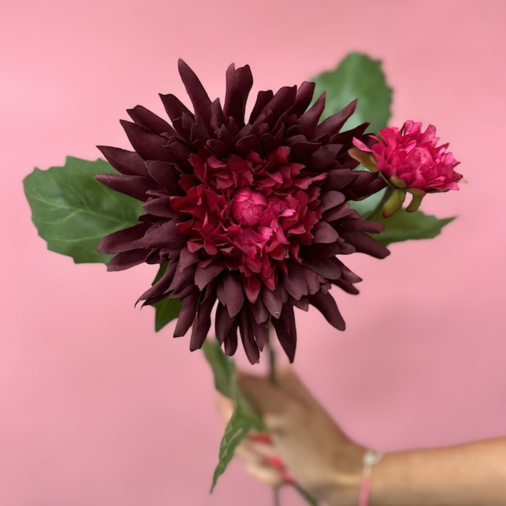 Zijden bloem - Dahlia Sonic Spray bordeaux