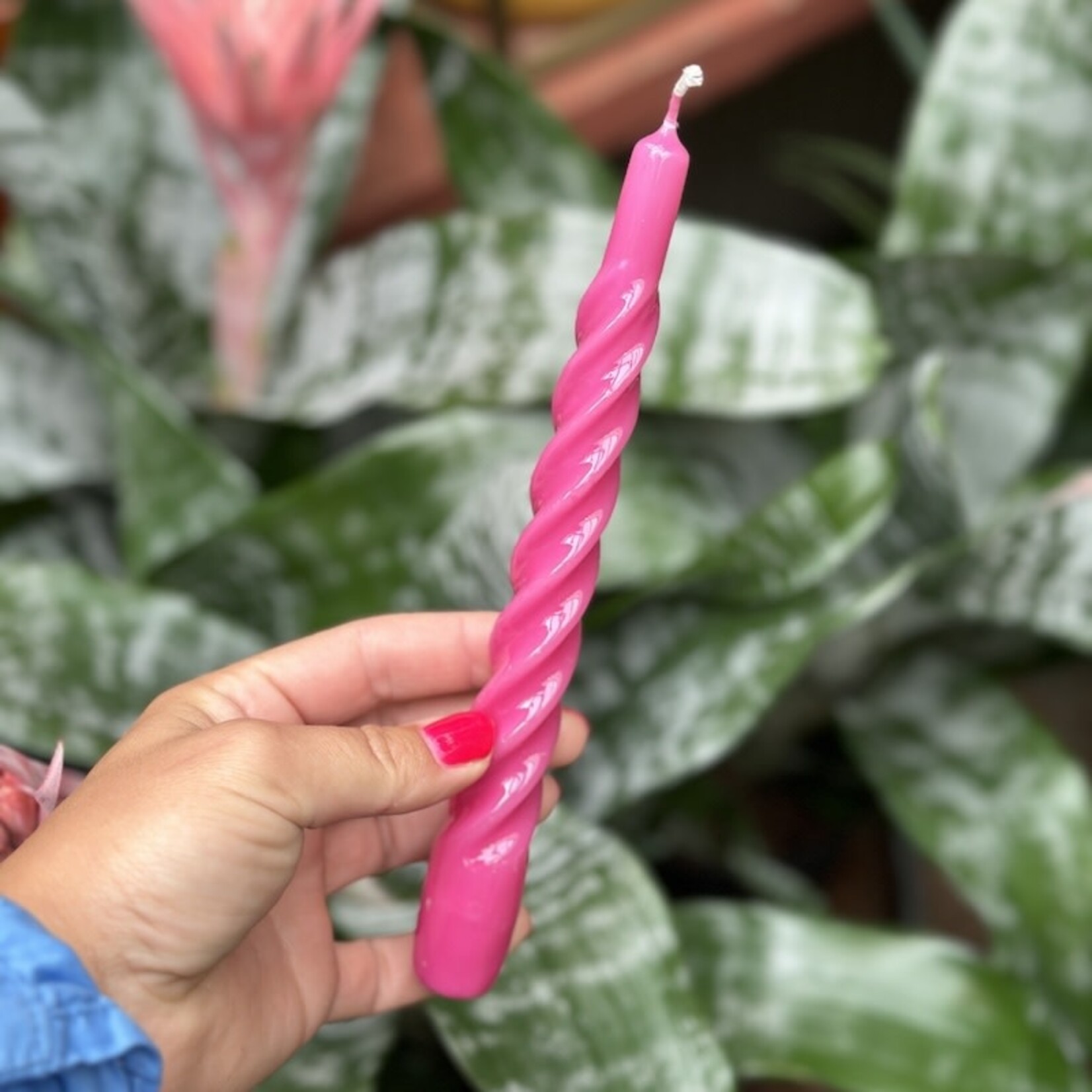 Kaars spiraal - fuchsia