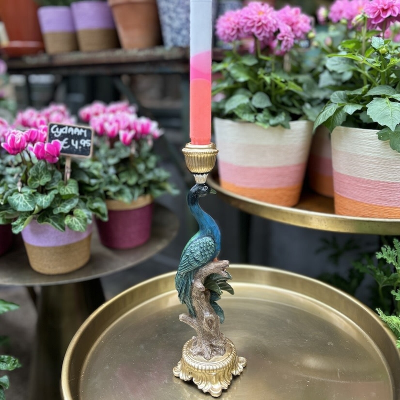 Kandelaar Pauw - multi blauw