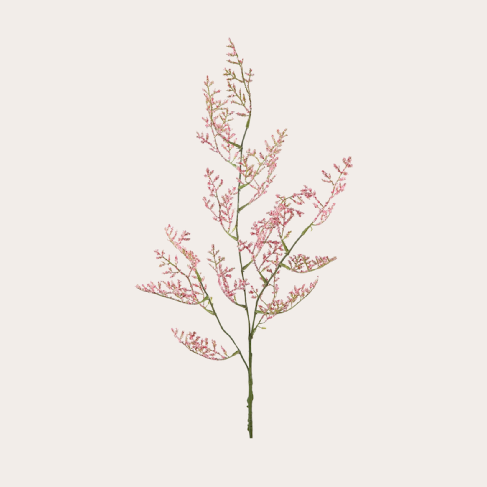 Zijden bloem - Limonium - roze