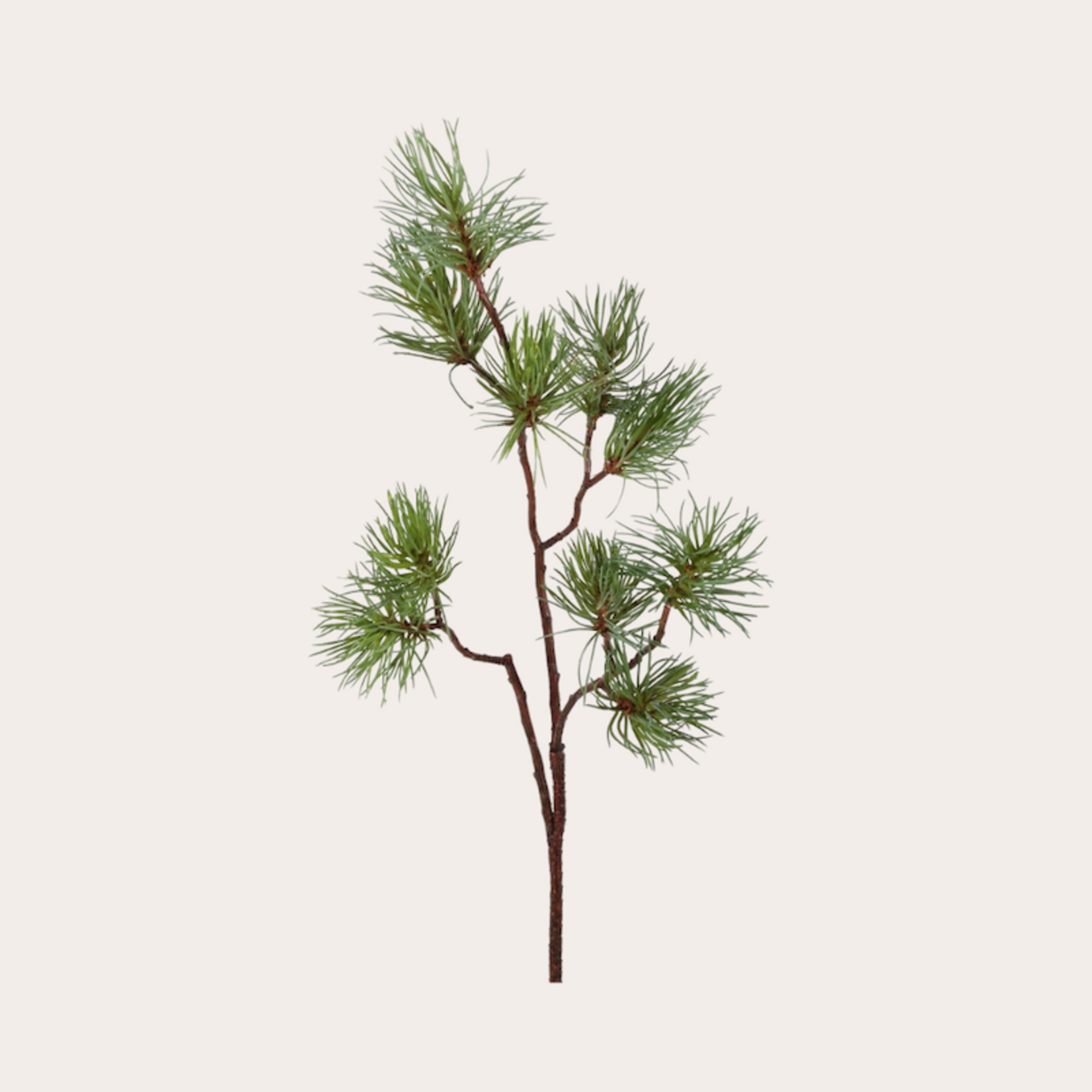 Zijden bloem - Dennen tak