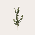Zijden bloem - Eucalyptus groen