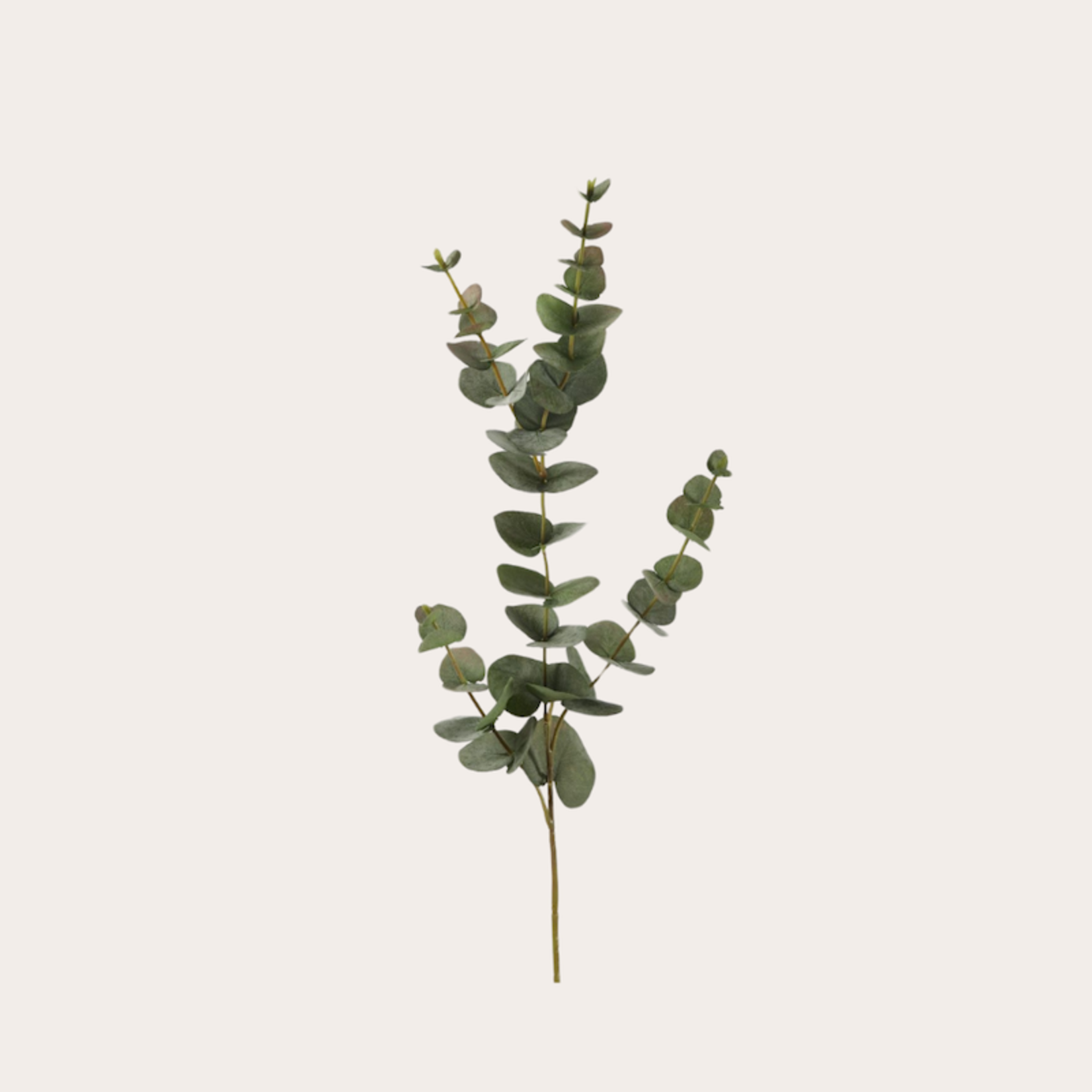 Zijden bloem - Eucalyptus groen