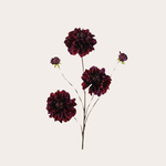 Zijden bloem - Dahlia bordeaux