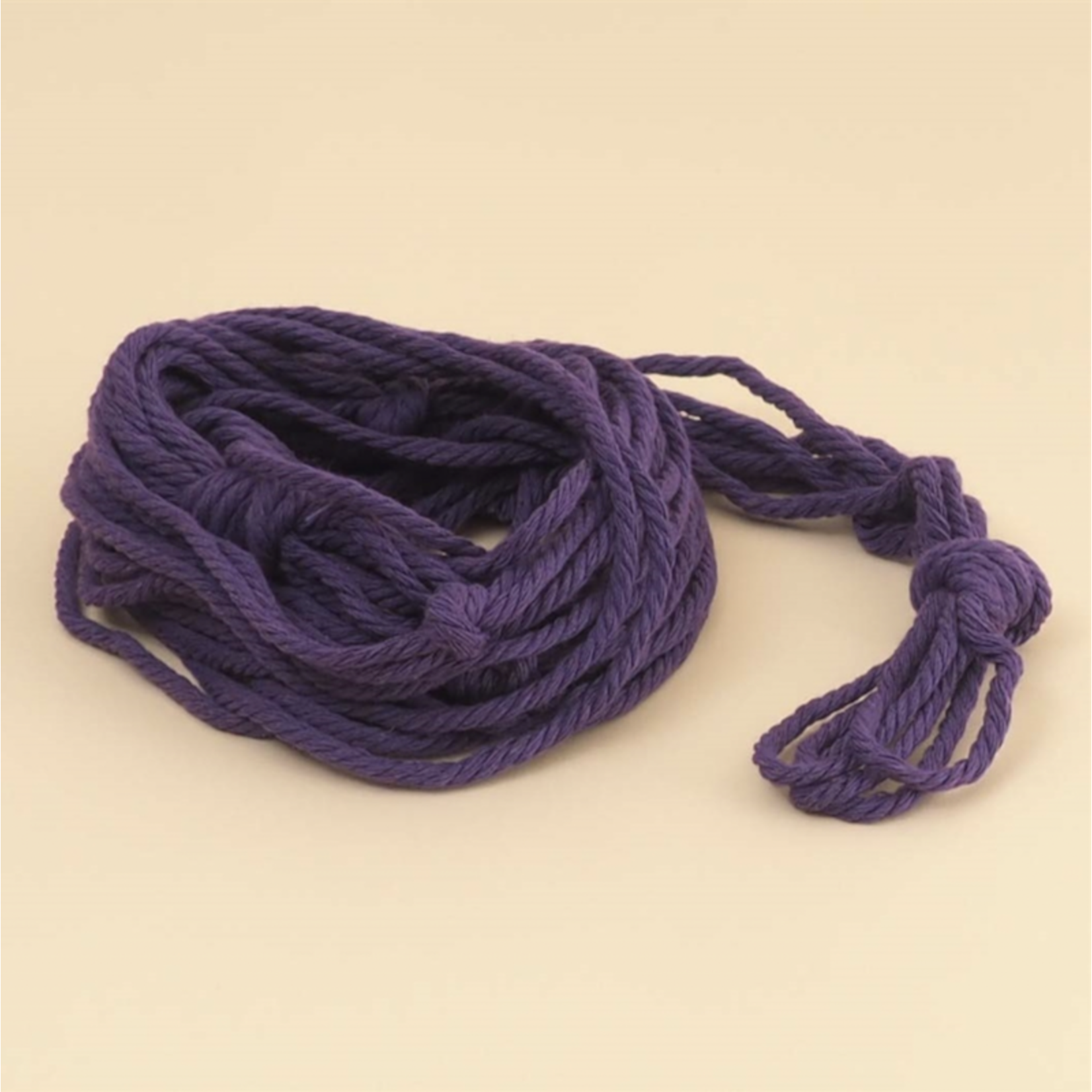 Plantenhanger - deep purple