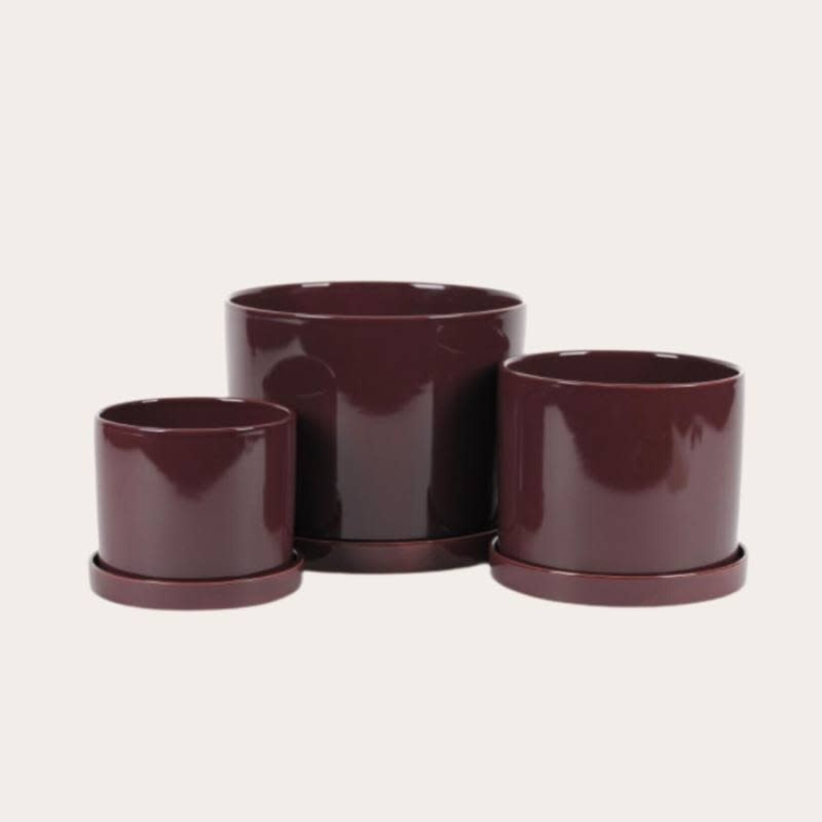 Pot Trou d'o - Cassis