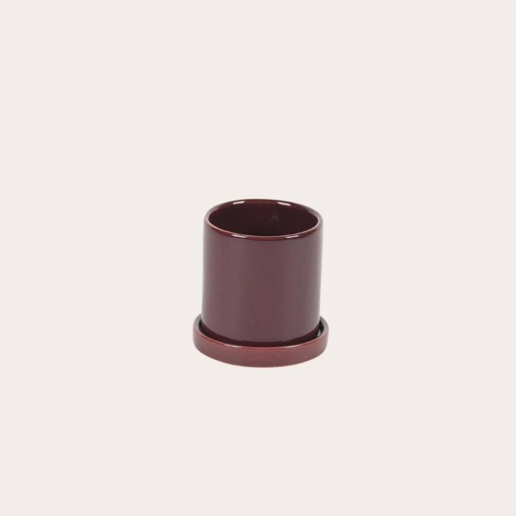 Pot Trou d'o - Cassis