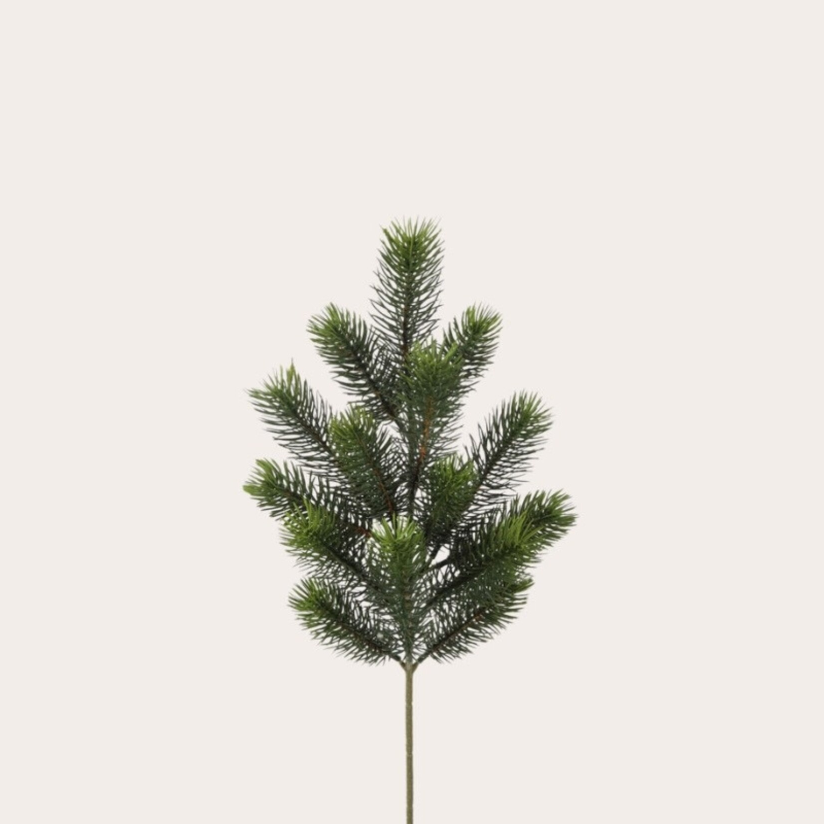 Zijden bloem - Dennentak 1