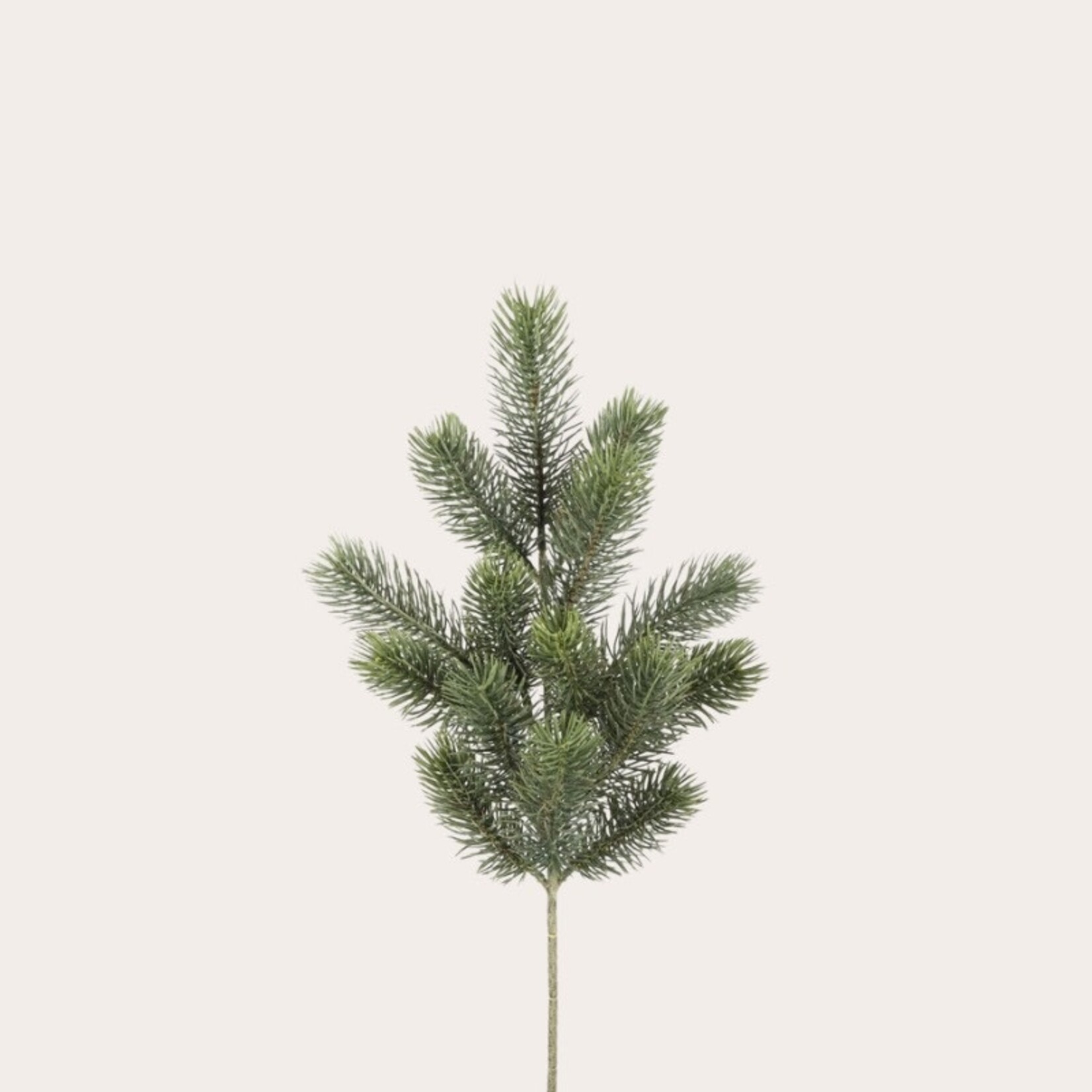 Zijden bloem - Dennentak 2