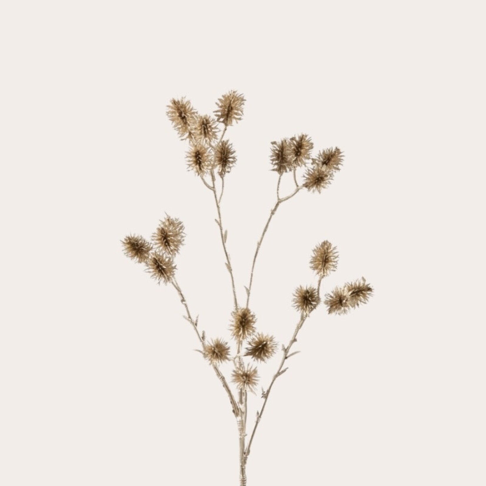 Zijden bloem - Kaardenbol goud