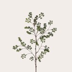 Zijden bloem - Dennentak 4