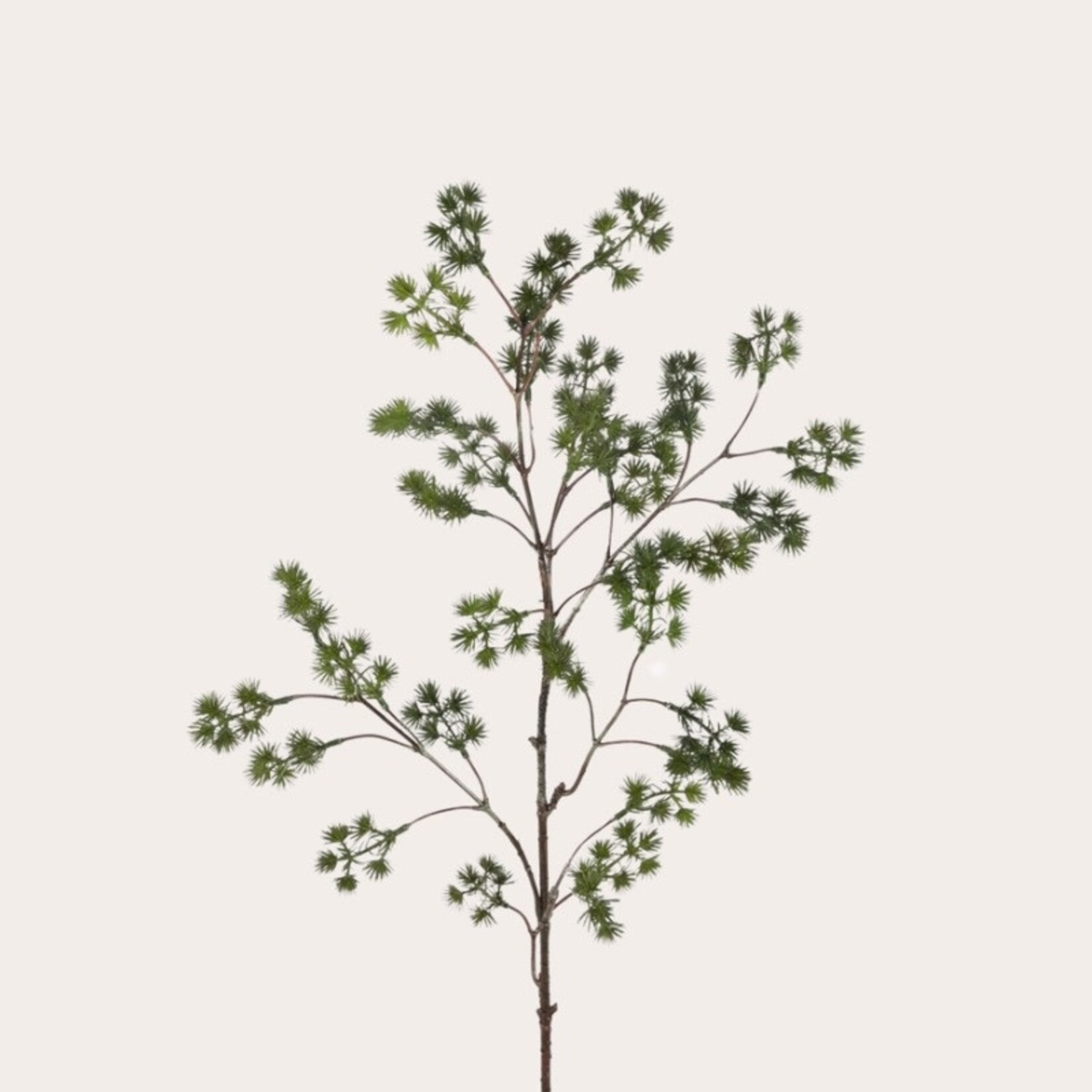 Zijden bloem - Dennentak 4