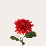 Zijden bloem - Dahlia rood