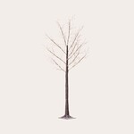 Verlichte boom - M