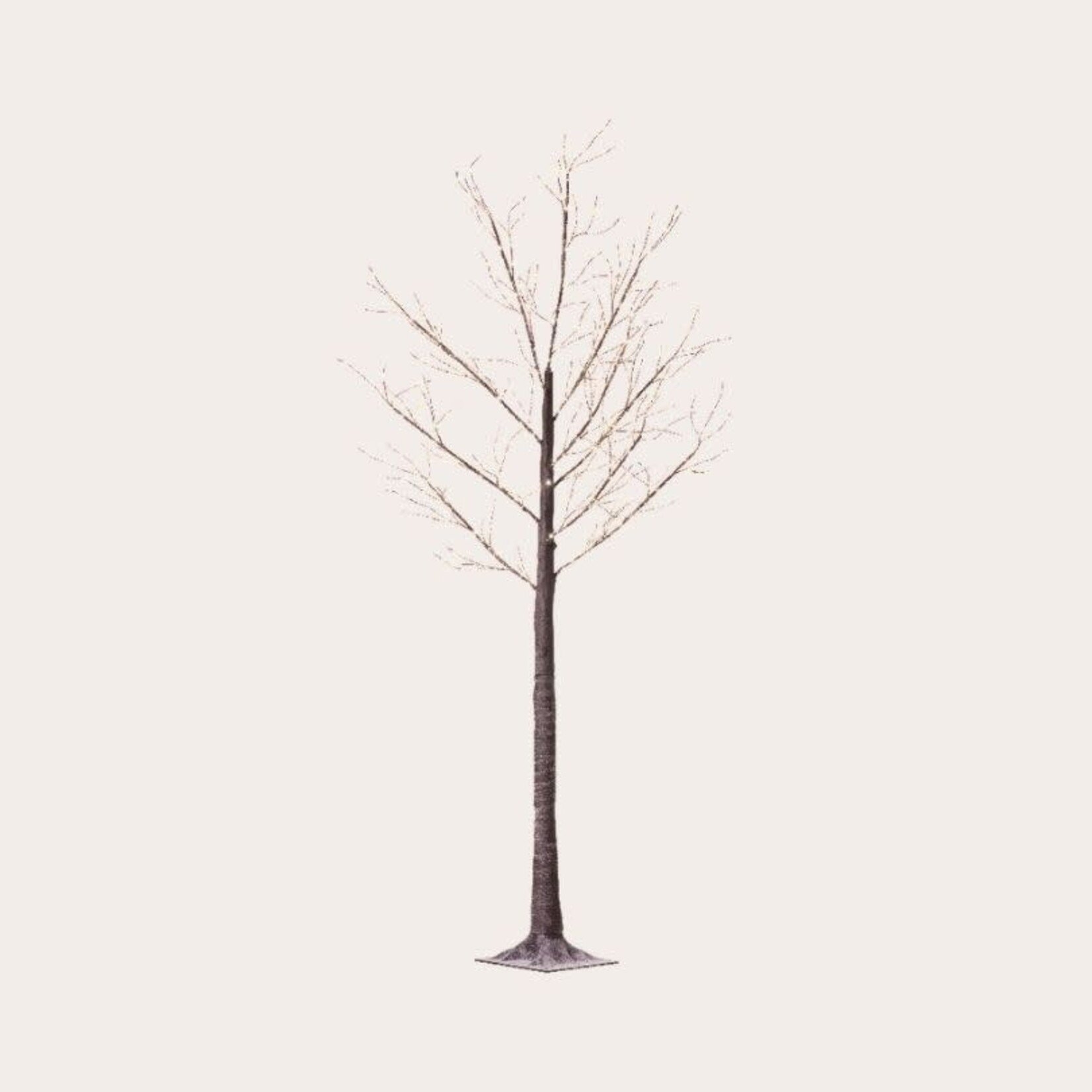 Verlichte boom - M