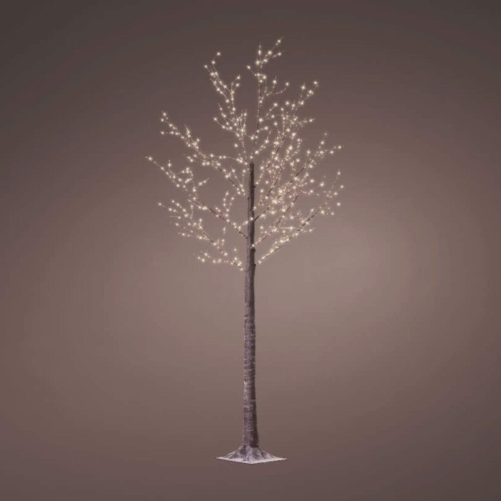 Verlichte boom - M