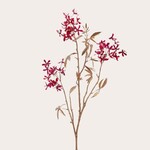 Zijden bloem - fiore, beauty Zijden bloem - fiore, beauty