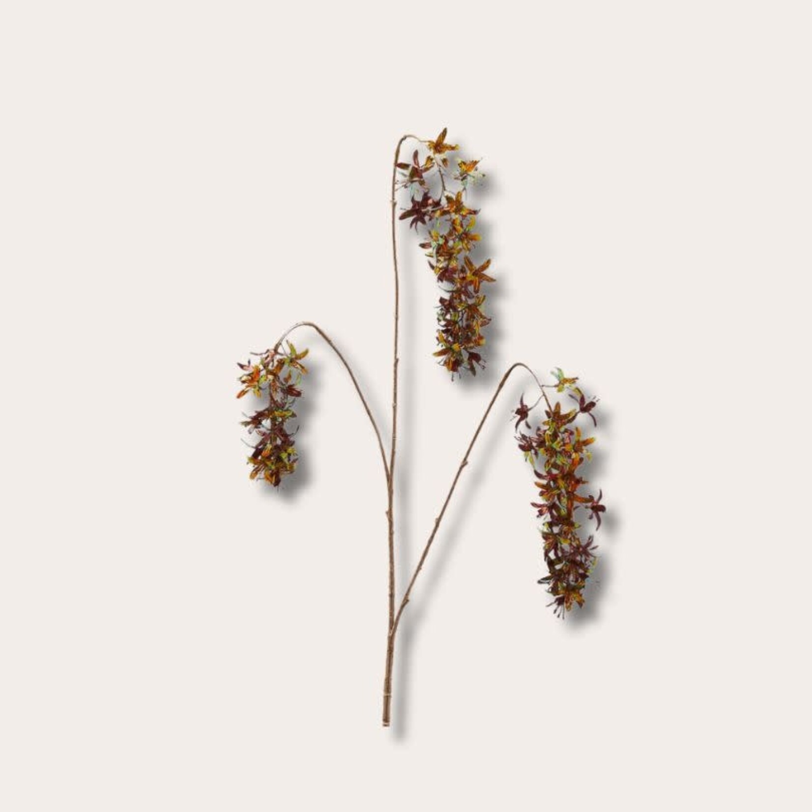 Zijden bloem - prunus, koper