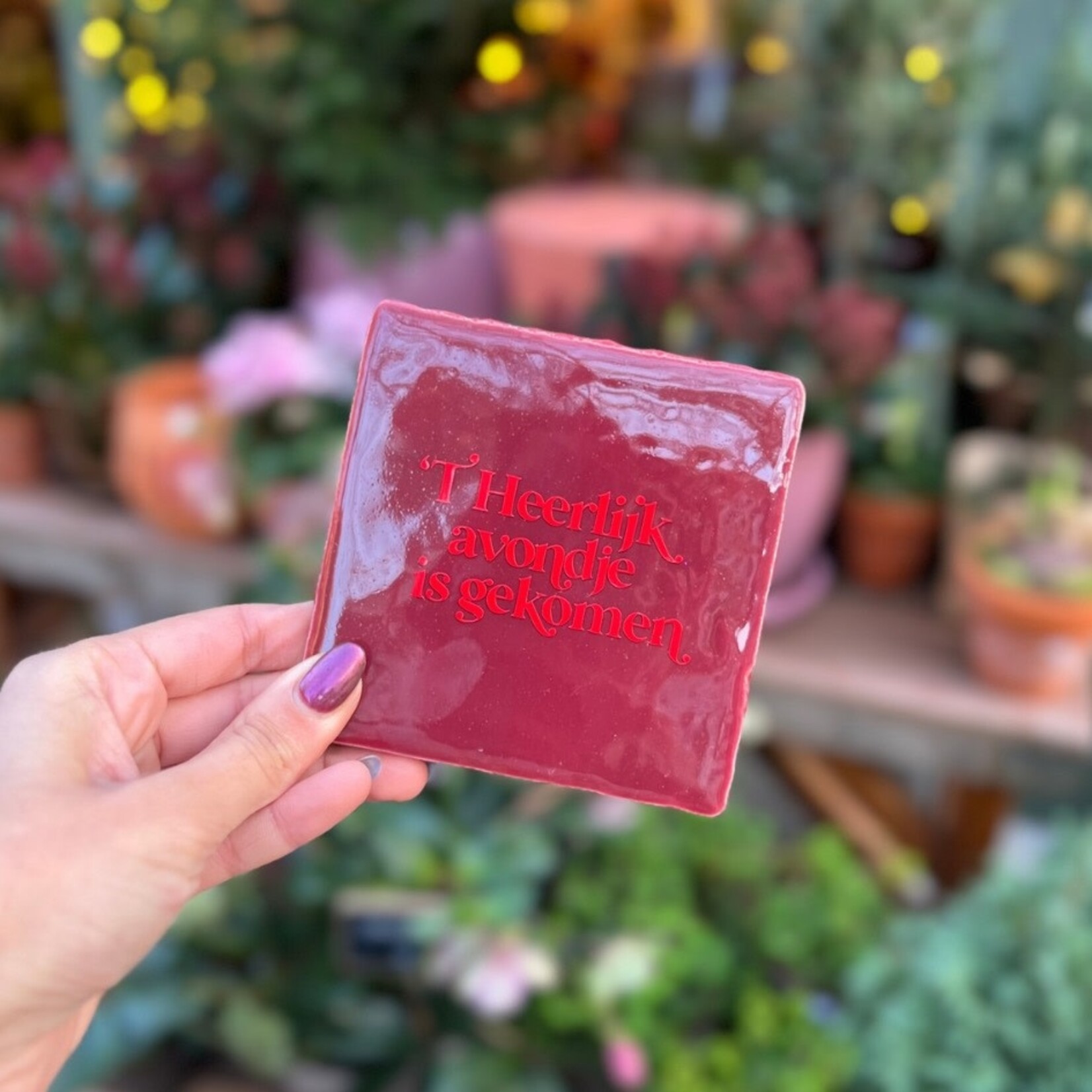 Tegeltje - 'T heerlijk avondje - bordeaux, rood