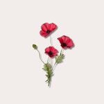 Zijden bloem - Poppy Spray - rood