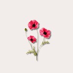 Zijden bloem - Poppy Spray - fuchsia