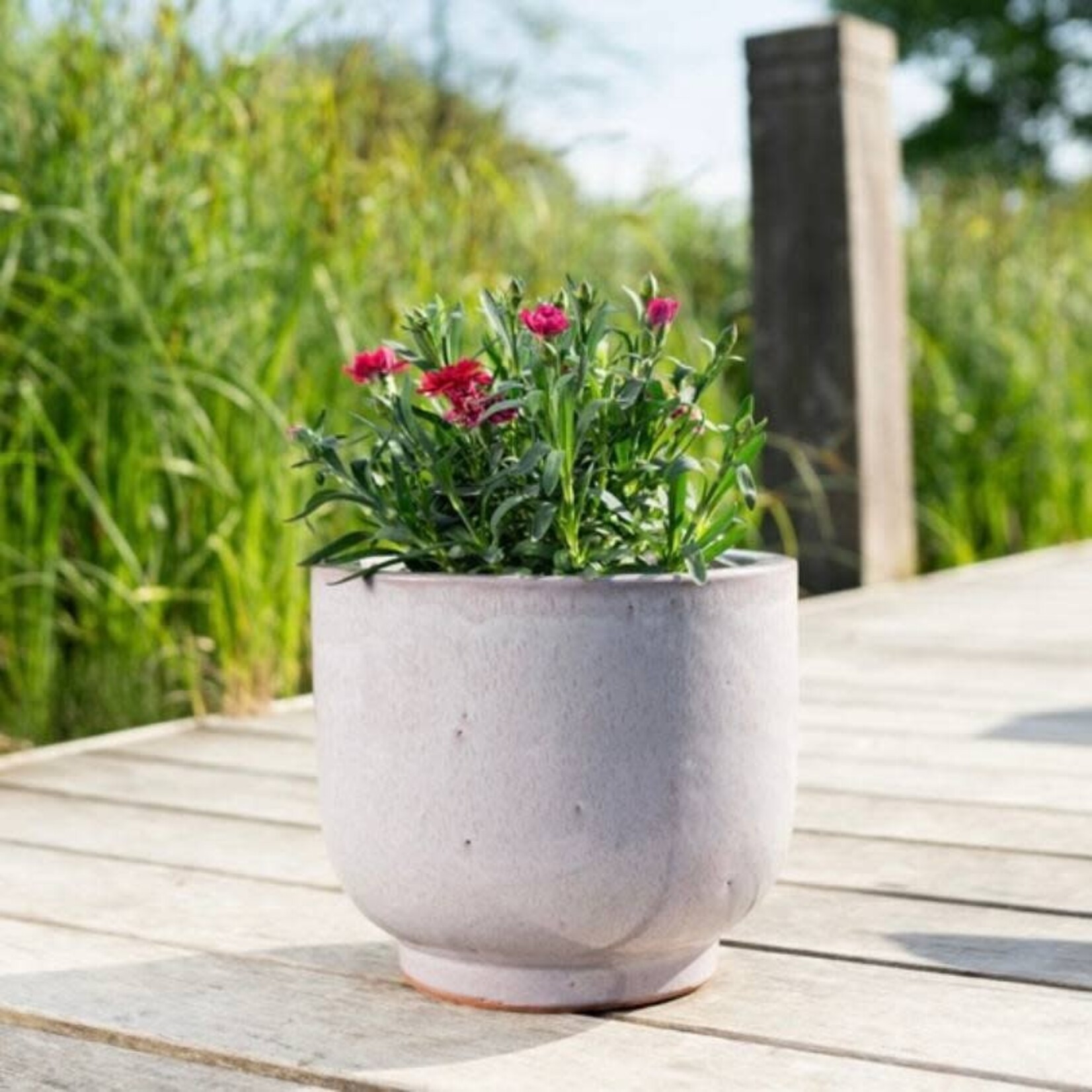 Pot Linne - roze