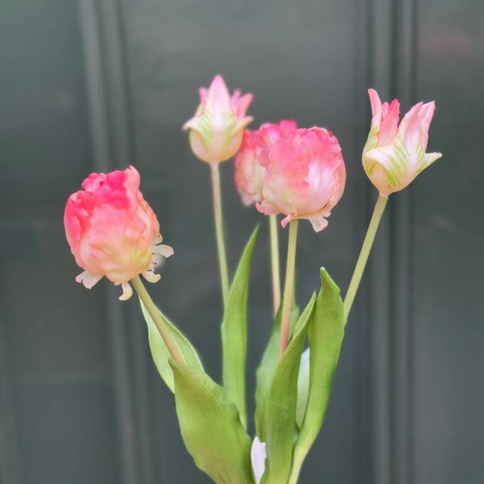 Zijden bloem - Papegaai Tulp bos - creme roze