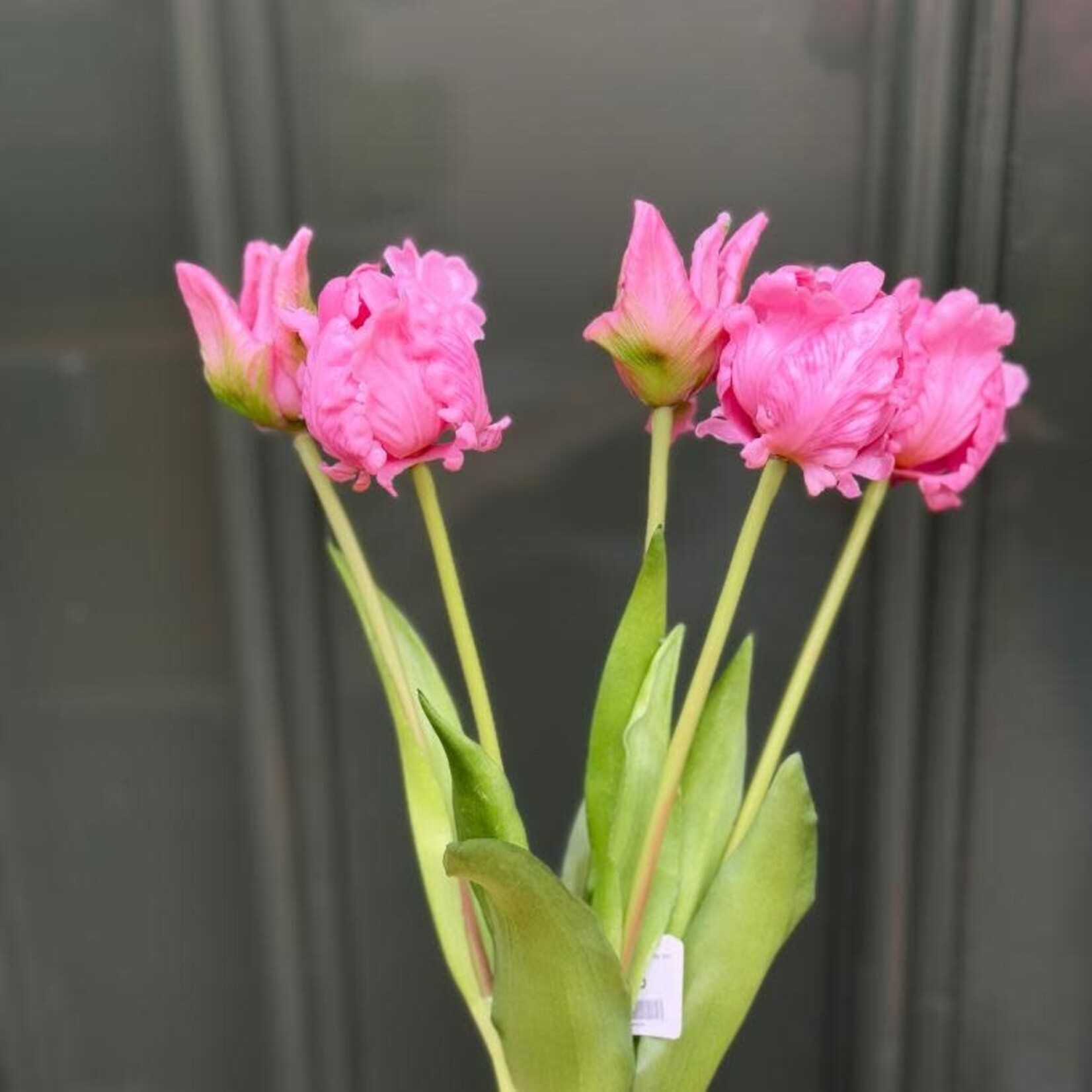 Zijden bloem - Papegaai Tulp bos - roze