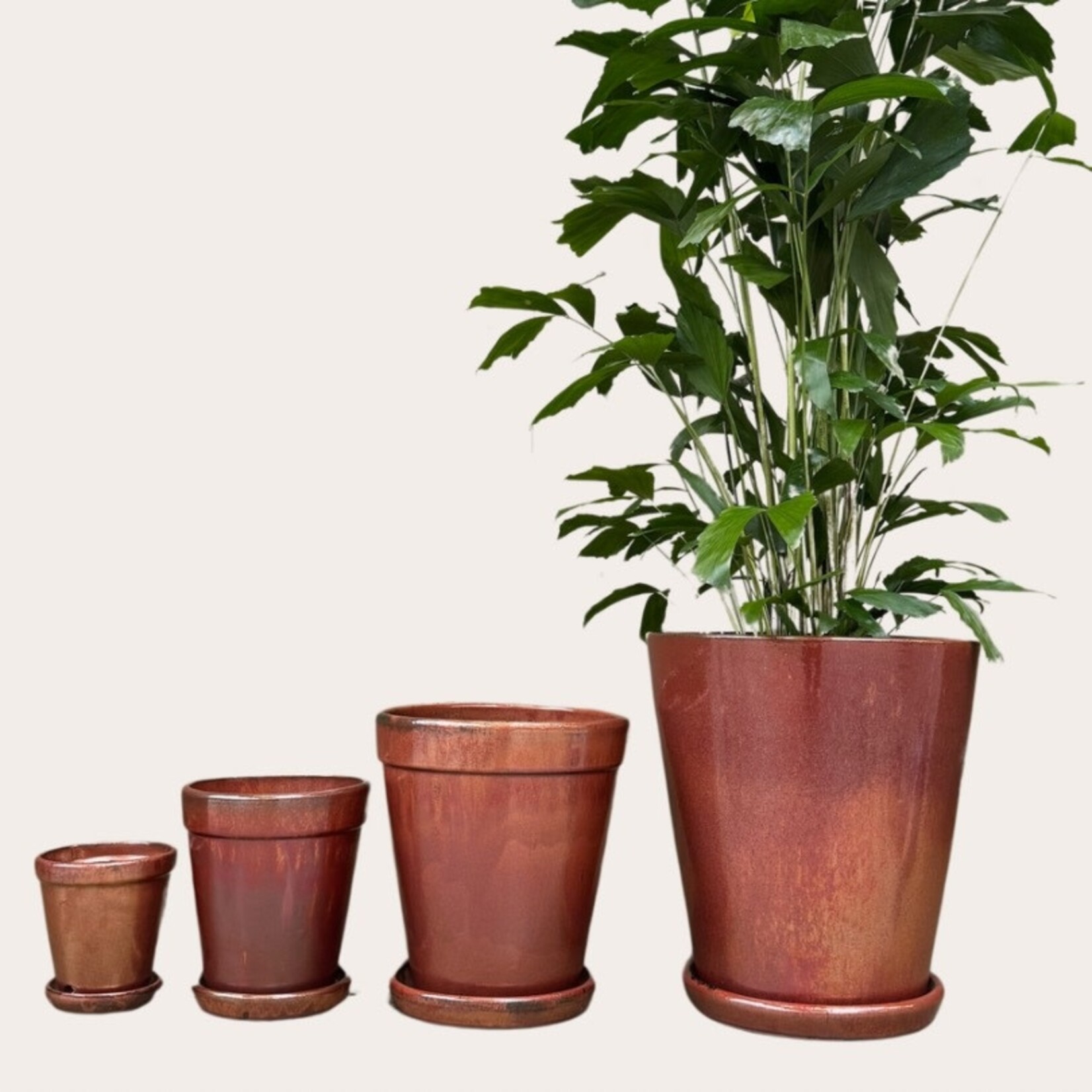 Geglazuurde pot met schotel - Rose
