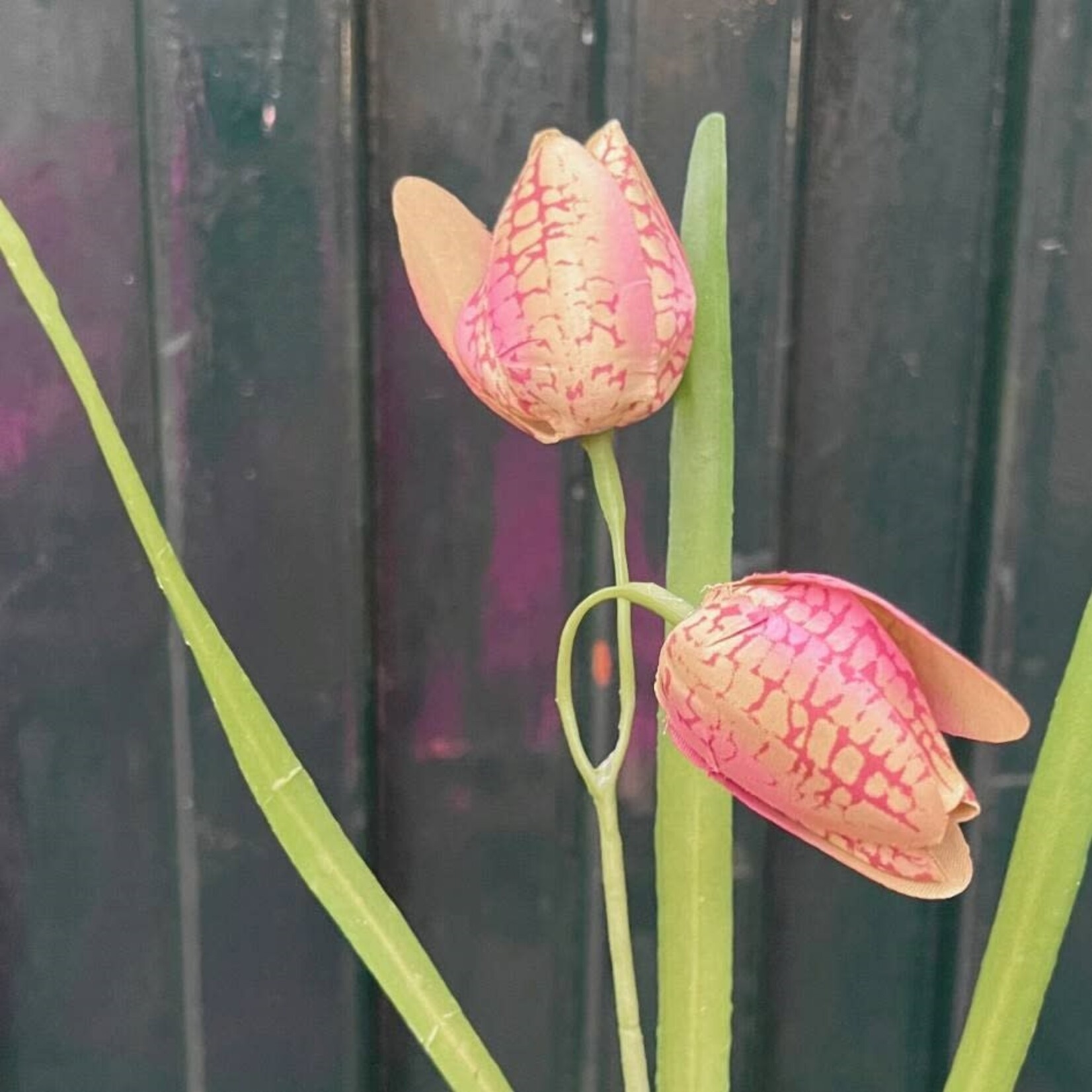 Zijden bloem - Fritillaria beige