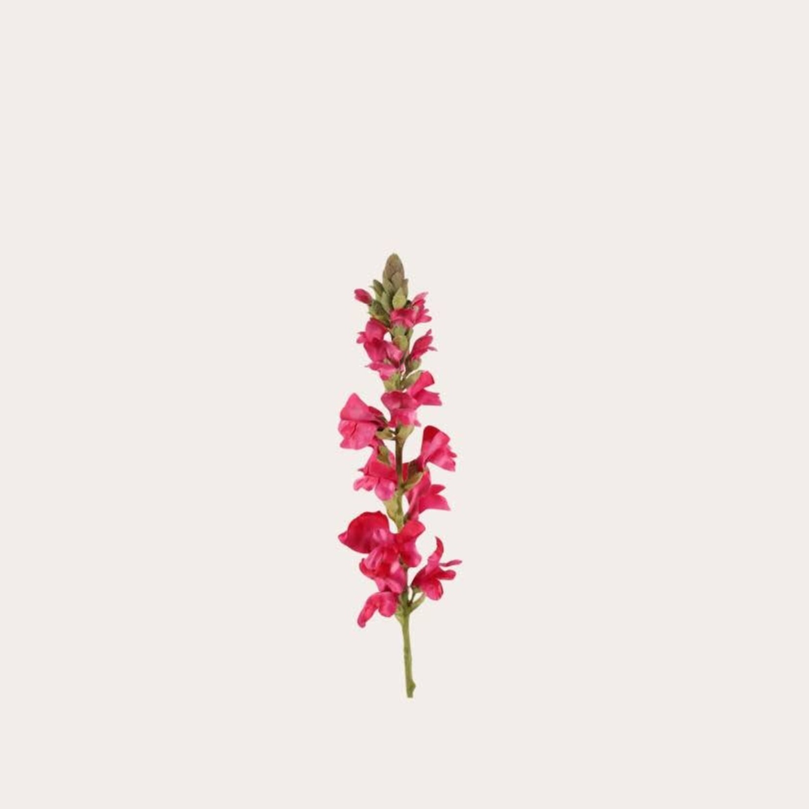 Zijden bloem - Leeuwenbek Single Fuchsia