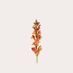 Zijden bloem - Leeuwenbek Single koraal