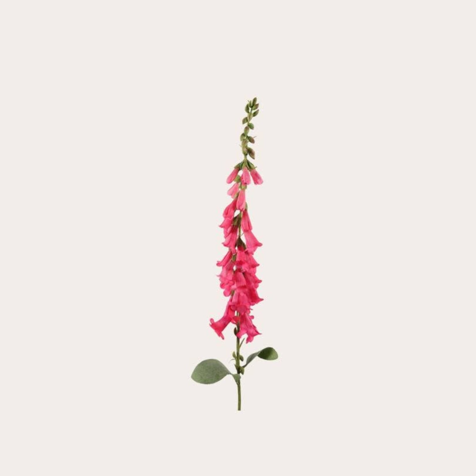 Zijden bloem - Digitalis stem fuchsia