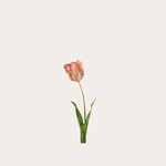Zijden bloem - Pagegaai tulp stem koraal geel