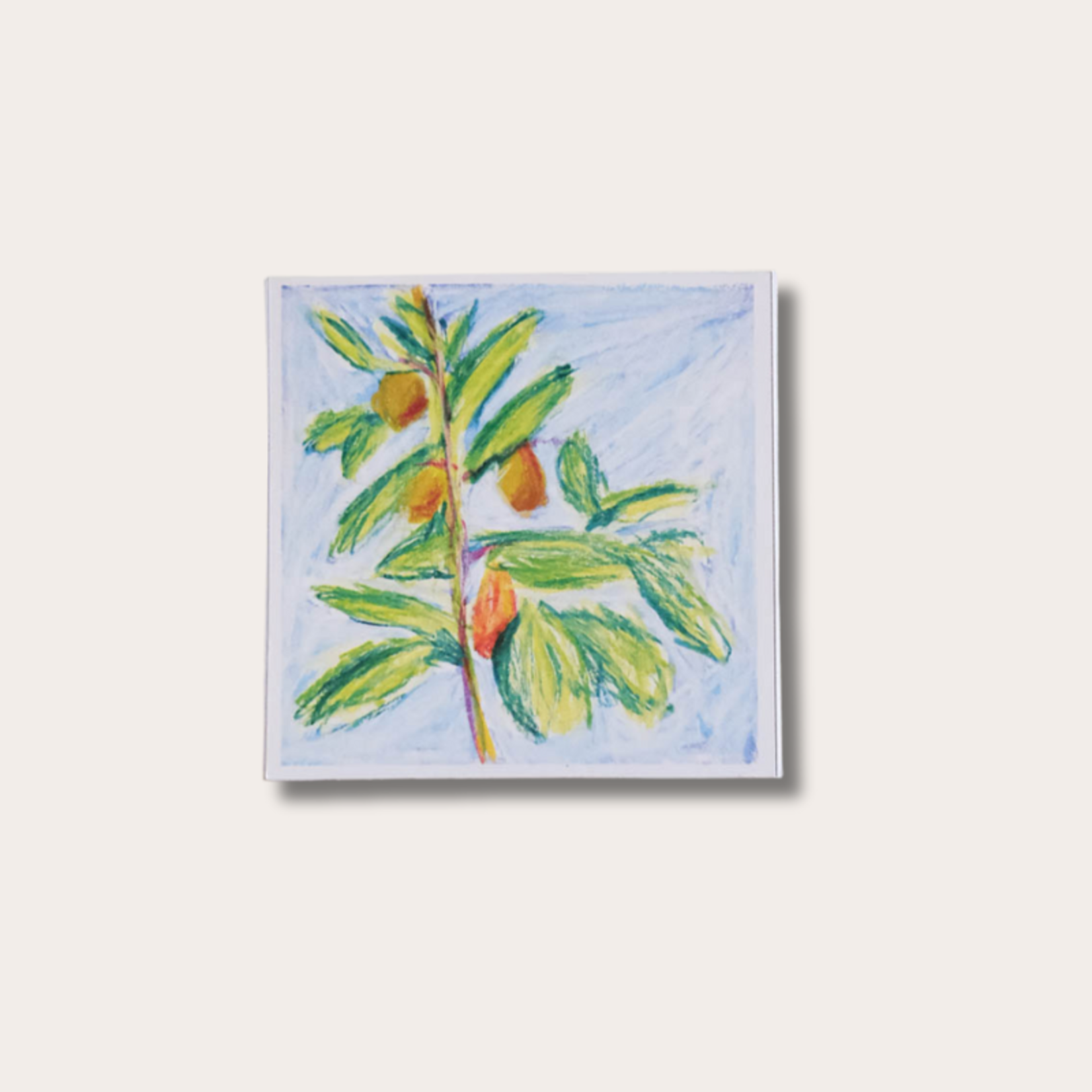 Avocado kweek ring - Samantha