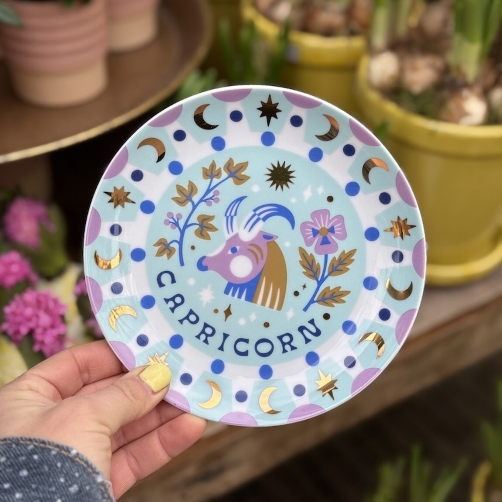 Bordje sterrenbeeld - Steenbok