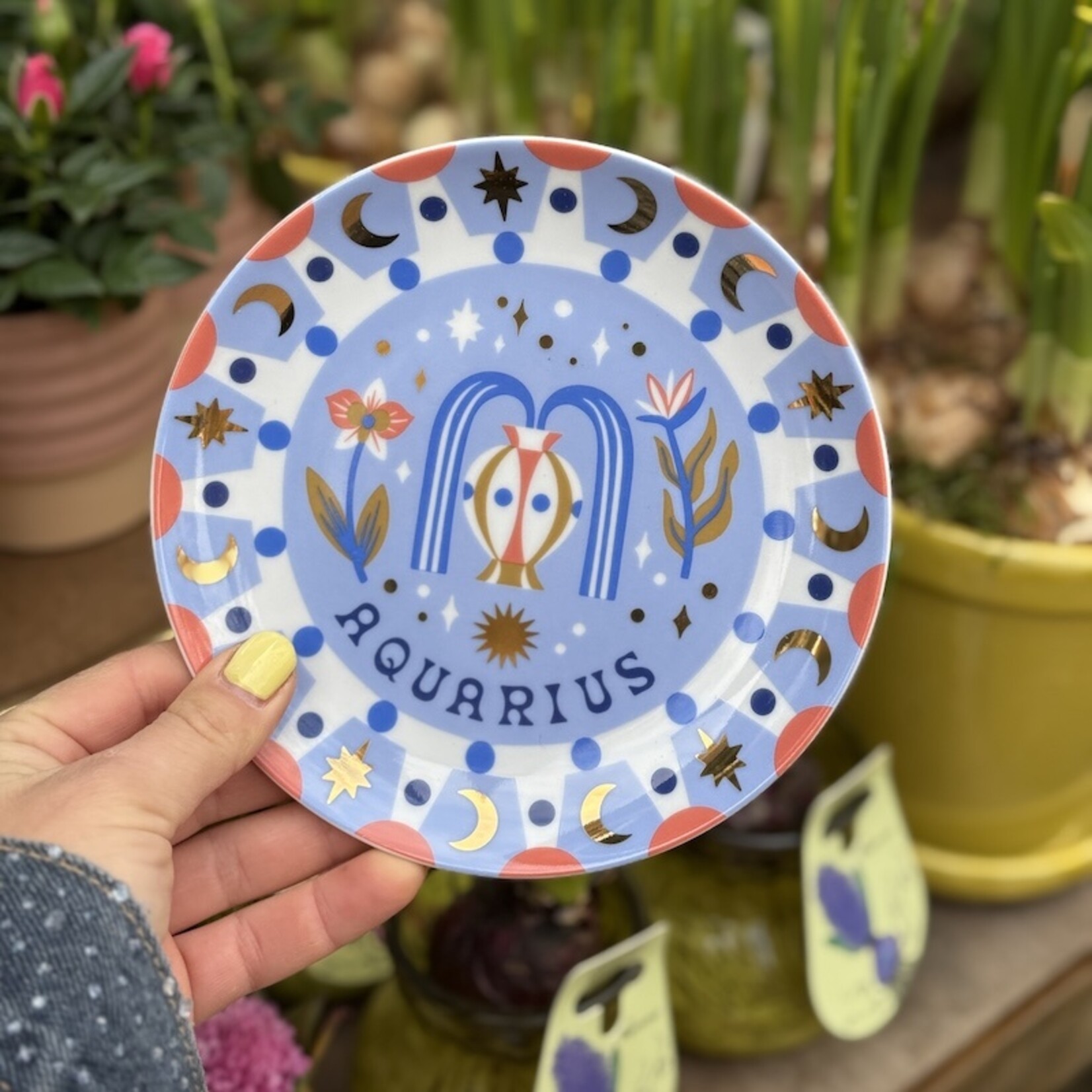 Bordje sterrenbeeld - Waterman