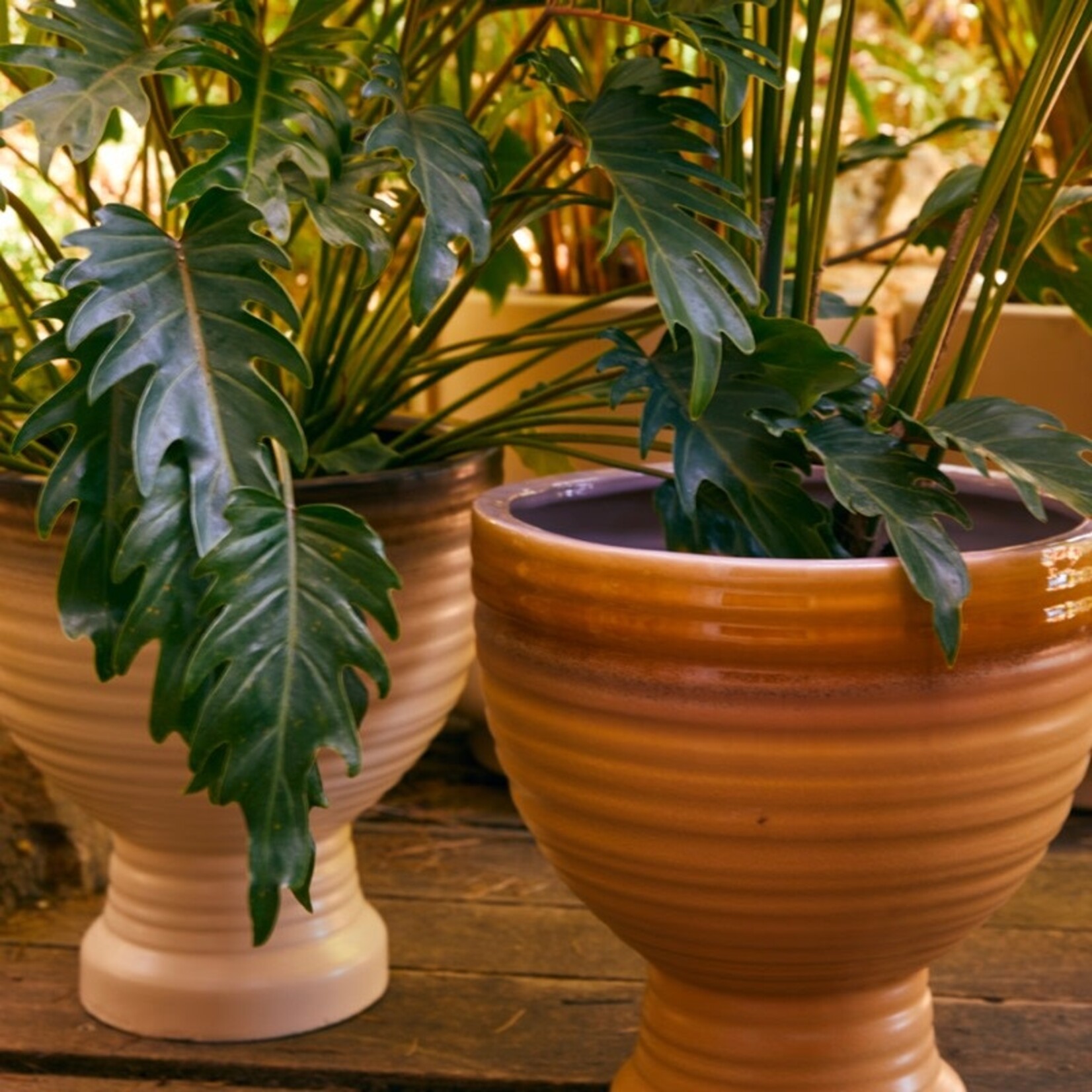 HKliving HKliving Stoneware planter - Vanilla