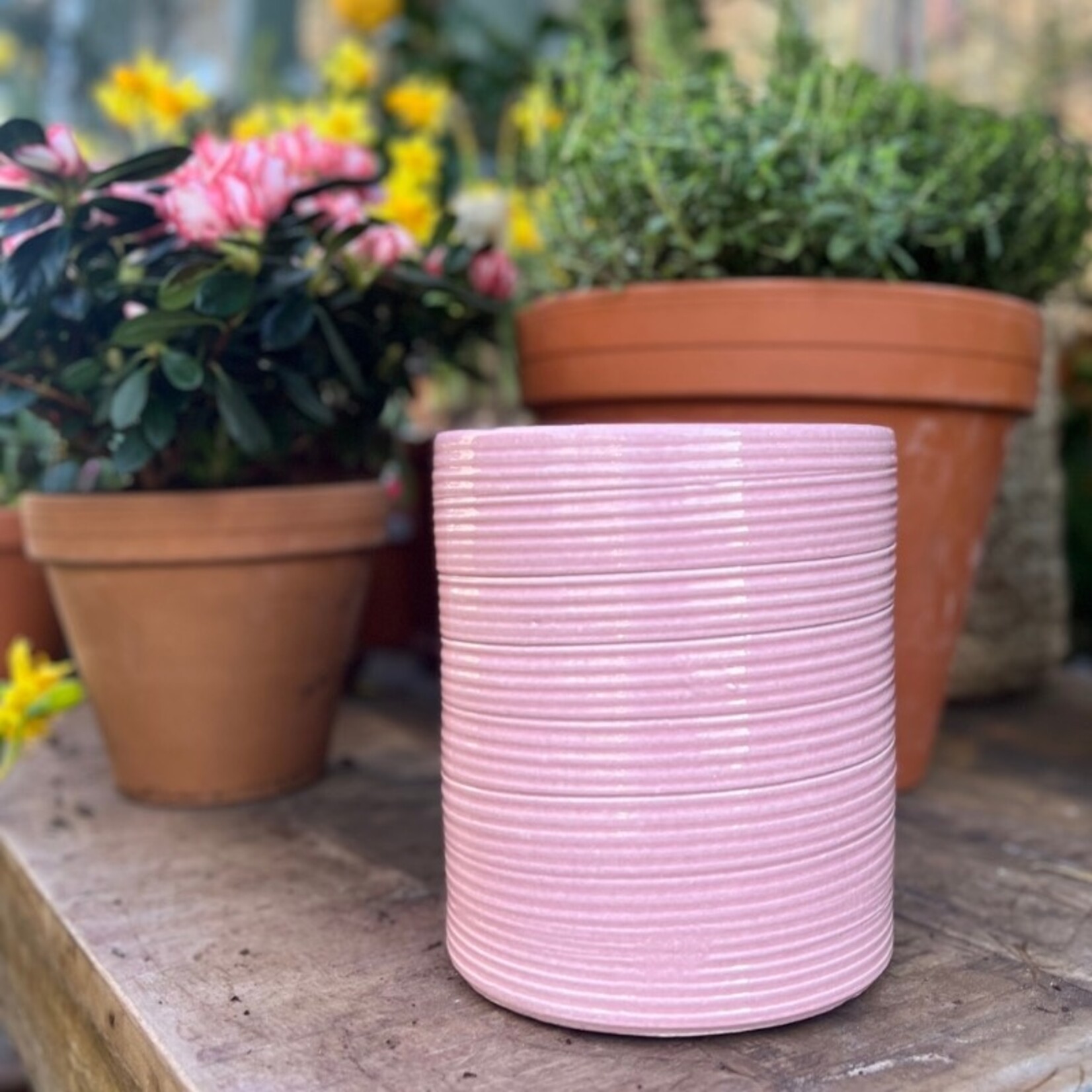 Pot Michigan - Roze