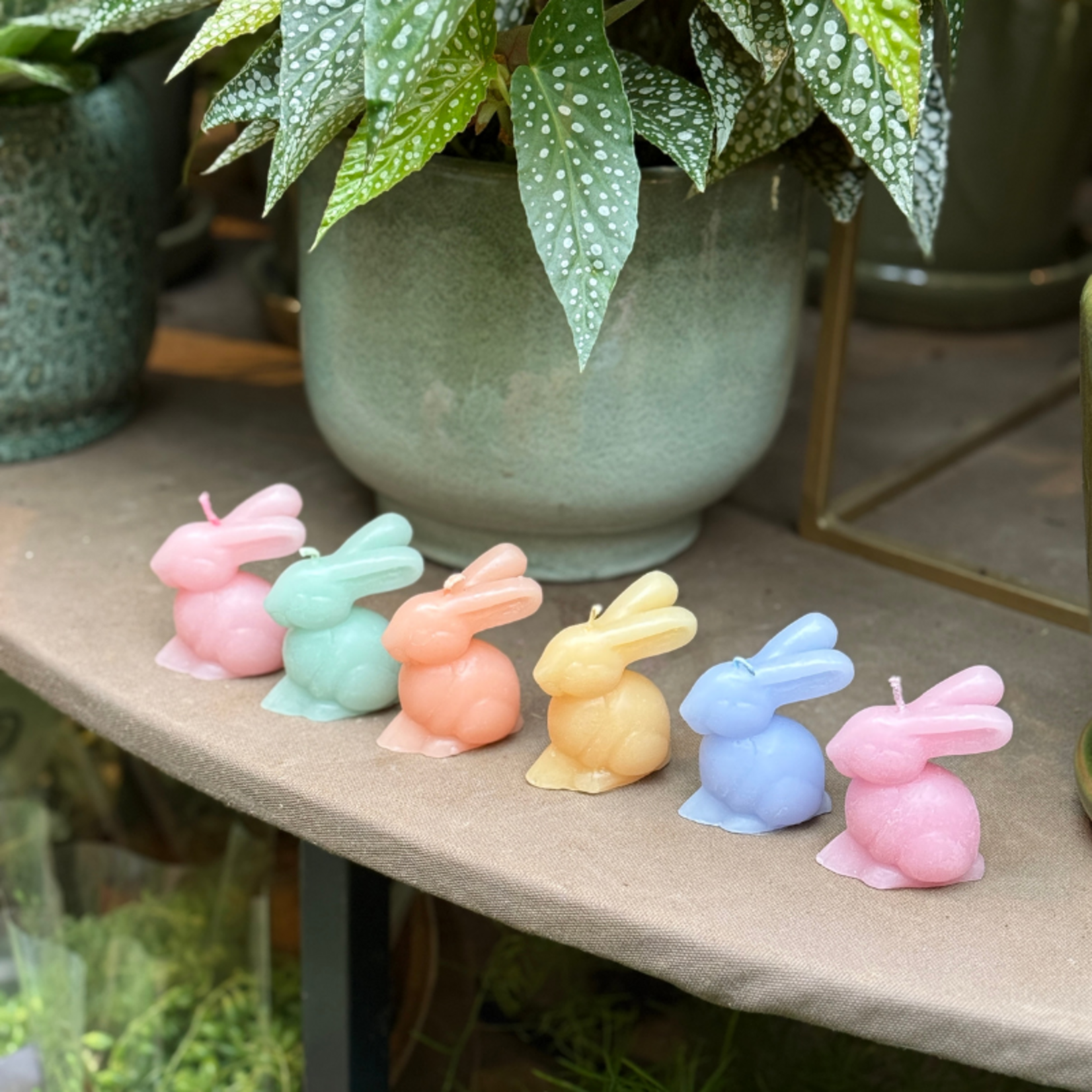 Konijn kaarsen pastel