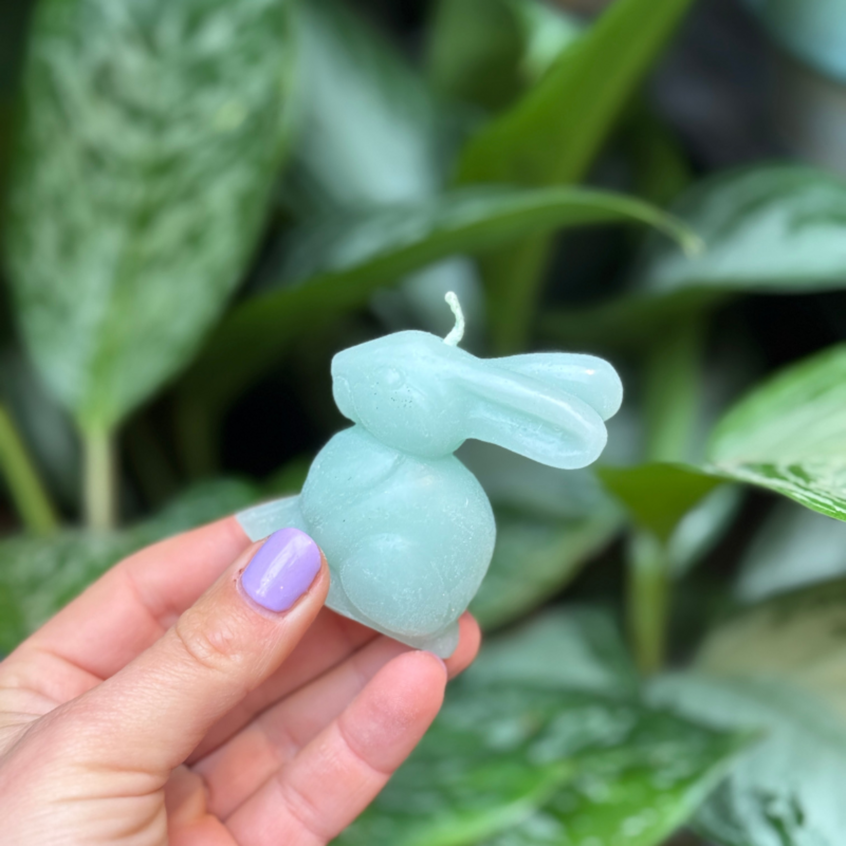 Konijn kaarsen pastel